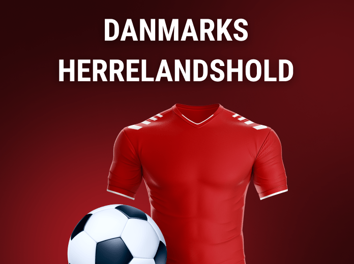 Danmarks Fodboldlandshold 2025