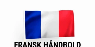 Overblik over Frankrigs håndboldlandshold til herrehåndbold VM 2025