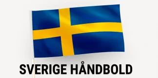 Overblik over Sverige håndboldlandshold til herrehåndbold VM 2025