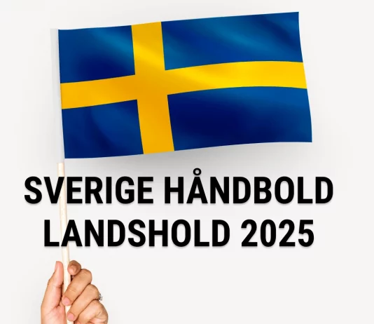 Overblik over Sverige håndboldlandshold til herrehåndbold VM 2025