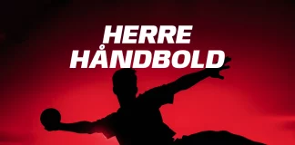 De Danske Håndbold Herre 2025